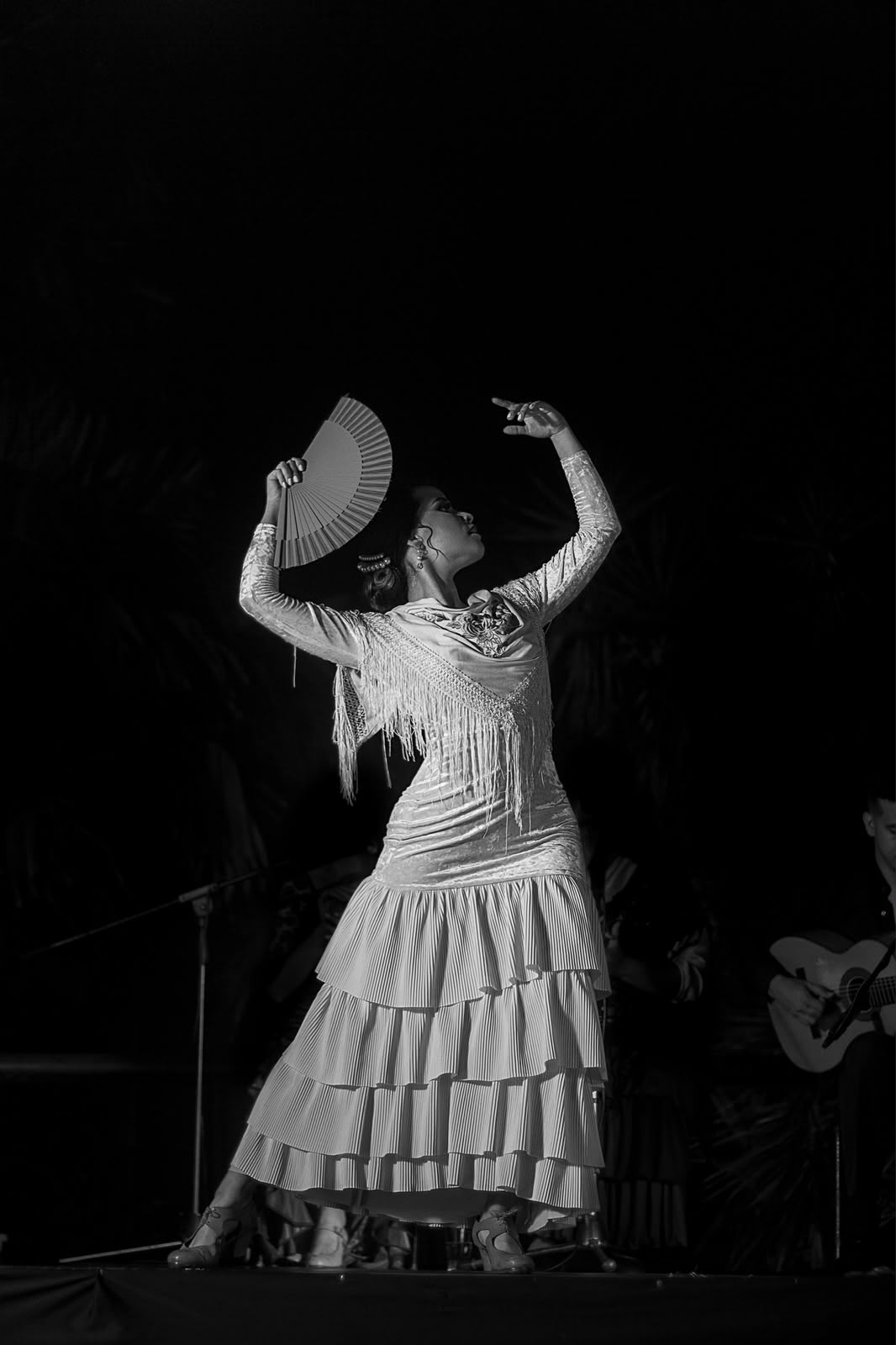 Clase de Flamenco